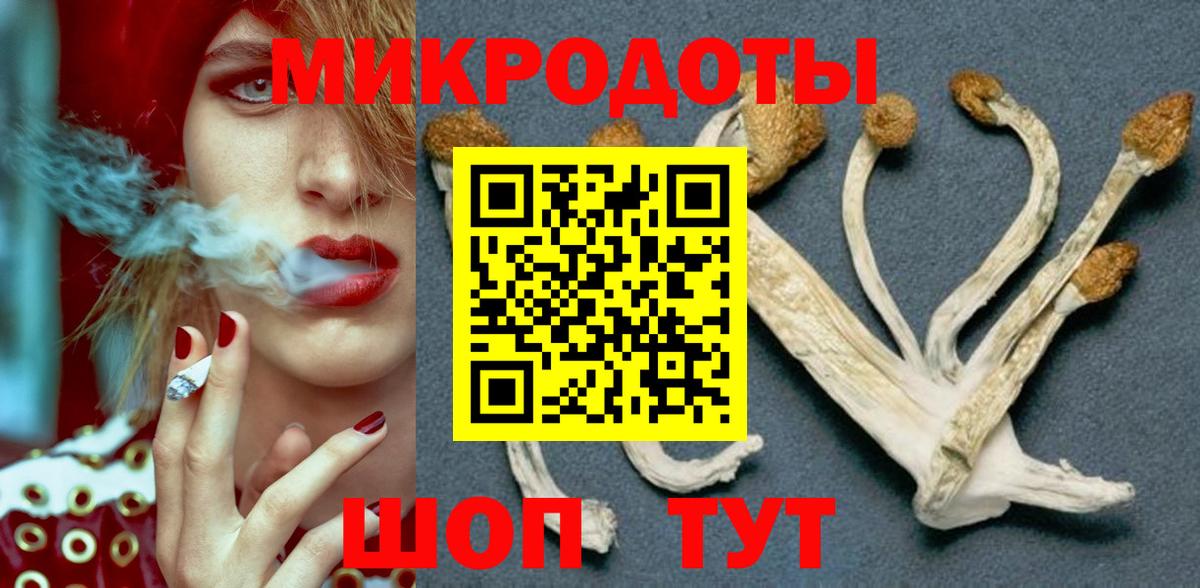 Мурманск  Псилоцибиновые грибы Cubensis  Вход с VPN 